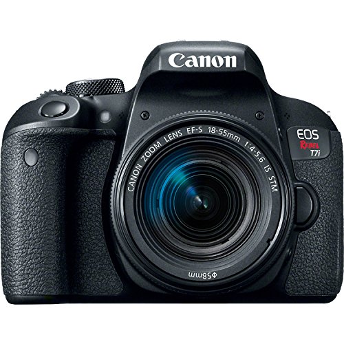 Canon EOS Rebel T7i DSLR Camera + 64GB SDXC Memory Card + Canon 18-55mm IS STM Lens + Canon 75-300mm III Lens + 64GB SDXC Memory Card + BackPack + Accessory Kit - International Version
