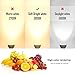 Kakanuo GU10 LED Bulbs 55W Equivalent 5.5 Watt Bright White 3000K GU10 LED Spotlight,Track Light Recessed Light 120V Non-dimmable (Pack of 6)