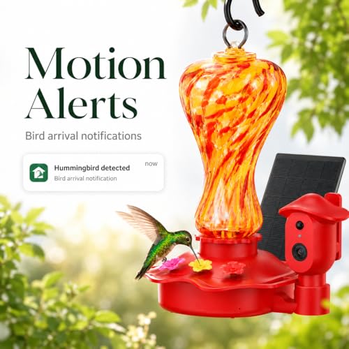 Smart Glass Hummingbird Feeder with Camera, 2K HD Live View, 2.4GHz WiFi Only, Solar-Assisted Outdoor Bird Feeder, App Motion Alerts, AI Bird ID, Ant Moat, Easy Clean Drip-Resistant Nectar Feeder