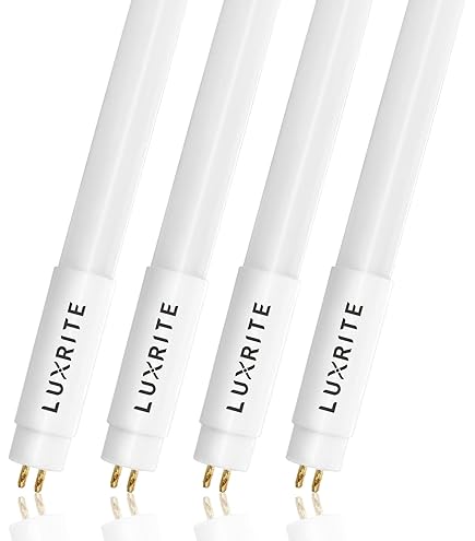 Amazon.com: Eiko 81159 - F54T5/HO/841 Straight T5