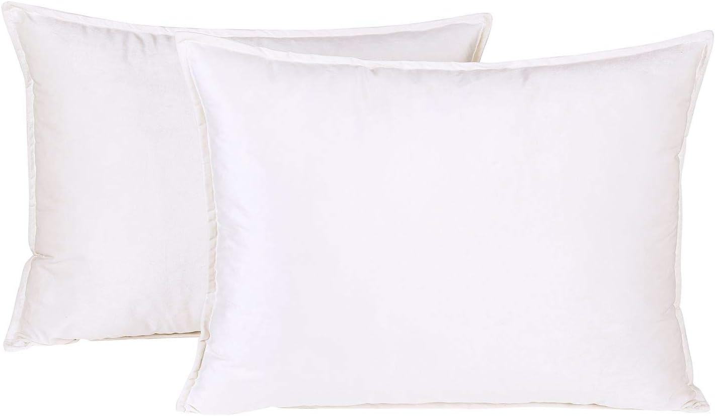 Colorxy Standard Velvet Pillow Cases, Soild Soft Pillow Shams, Decorative Throw Pillow Covers, 20x26 inch, Set of 2…