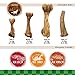 Nylabone Healthy Edibles WILD Natural Dog Chew Treats for Small Dogs, Long Lasting Dog Chew Bones Made in USA, Bison Flavor, For Dogs Up to 25 lbs. (16 Count)