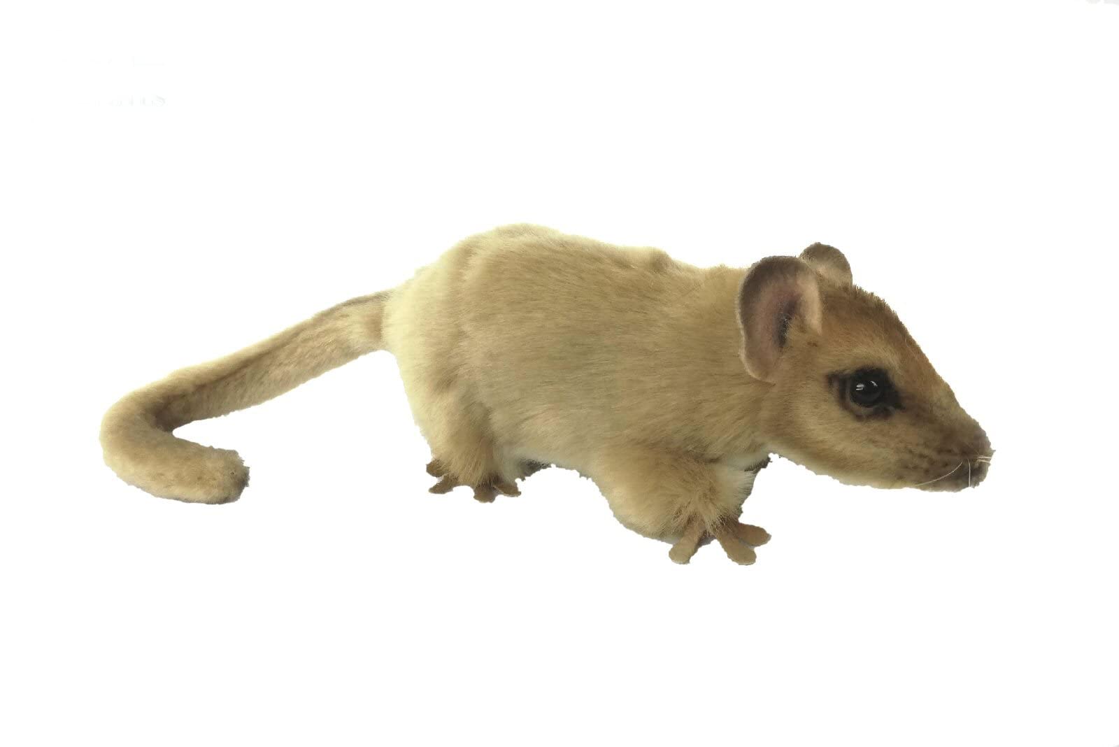 Hansa Soft Toy Hazel Dormouse 16.5cm L