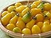Yellow Pear Tomato 4 Plants - Perfectly Shaped