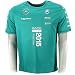 Mercedes AMG F1 Team Winners T-shirt Official New