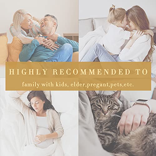 Full Size Waterproof Zippered Mattress Encasement , Premium Soft