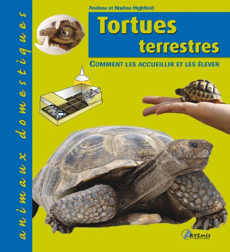 Tortues terrestres