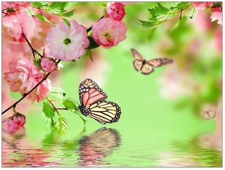 Creative Modern Art Giclee Canvas Print Flowers Spring Blossom Bloom Water Pink Prints On Canvas 16" x 12" Inch, Stretched and Framed Home Decor Wall Living room Office Canvas Art Wall