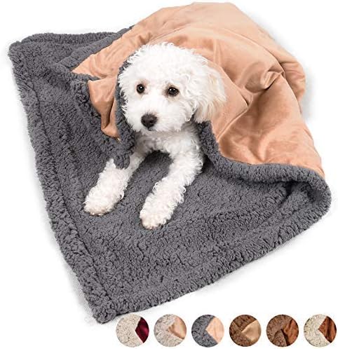 dog photo blanket