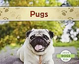 Pugs (Dogs)