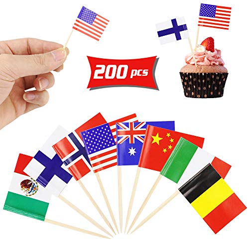 Hslife 200Pcs Different Countries World Flag Sticks Toothpick Flag Cocktail Sticks Cupcake Picks for Bar,Sports Party,Events Decoration