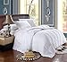 Royal Hotel Bedding White Down Alternative King Comforter with Corner Tabs - Hypoallergenic All-Season Plush Hotel Style Comforter, Duvet Insert Oversized King 110x98