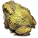 Sunthus Frog Toad Sculptures Garden Statues Yard Art Resin Decorations Outdoor Garden Decor