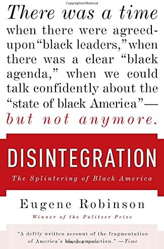 Disintegration: The Splintering of Black America