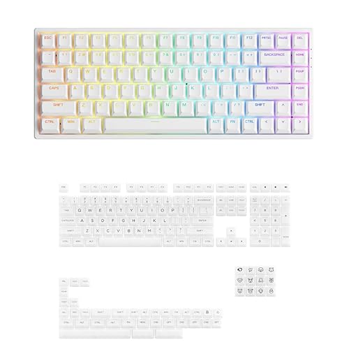 Akko 3084S 75 Hotswappable Mechanical Keyboard Bundle with Translucent Keycaps