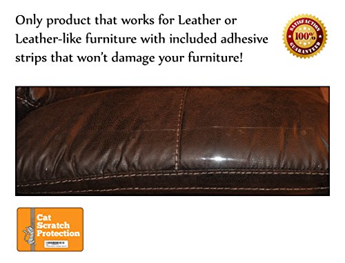Cat Scratch Protection On Any Couch Sofa Or Chair Upholstered