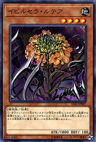 Amazon 遊戯王カード イビルセラ ルテア ノーマル イグニッション アサルト Igas 効果モンスター 地属性 植物族 ノーマル トレカ 通販