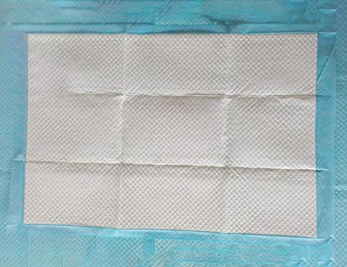 24"X35" 20 Pack Disposable Absorbency Underpads Waterproof Urine Pads Incontinence Bedding Mat Mattress Sheet Protector for Beds, Furniture, Quilted Sheet for Baby Adults, Blue - Thumbnail 4