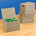 Letter Size Hanging File Box Organizers With Lid By Jumbl