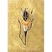Dawn Lily Candle Wall Sconce 12.5