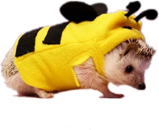 pet hedgehog accessories