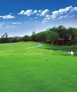 Amazon.com : 8x10ft Golf Course Photo Background Green ...