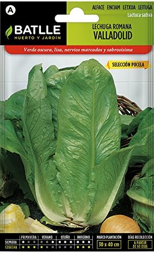 Semillas Hortícolas - Lechuga Romana Valladolid sel. Pucela ...
