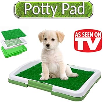 dog keeps vomiting food