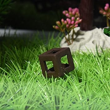 Erweitern Aquarium Garnelen Haus Langusten Kleine Fische Cube