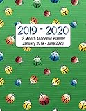 2019 - 2020 - 18 Month Academic Planner - January 2019 - June 2020: Cute Lady Bug Cover Design - Holidays Included -Organizer And Calendar Notebook or ... Year (Cute Lady Bug Cover Design Theme) by Perfect Your Day Planners
