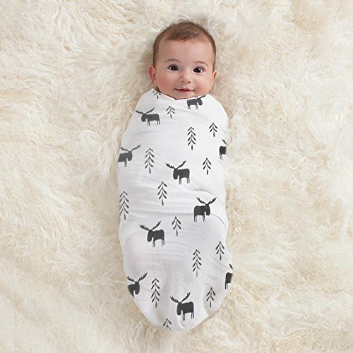 moose swaddle blanket