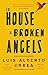 The House of Broken Angels