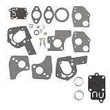 Wellsking 495606 494624 Carburetor Overhaul Repair Rebuild Kit with Gasket fits Briggs & Stratton Pulsa Jet Carb 80200 81200 82200 3 Thru 5 HP Horizontal Engines