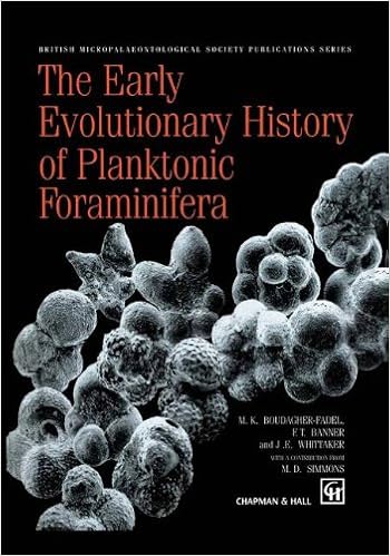 The Early Evolutionary History Of Planktonic Foraminifera -