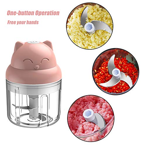 Mini Chopper, 250ml CarlCard Electric Garlic Chopper, Food Chopper for