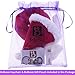Bolbove Pet Adjustable Christmas Santa Hat + Scarf for Small Dogs & Cats Holiday Accessory (Free Size)