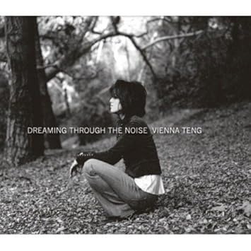 Dreaming Through The Noise