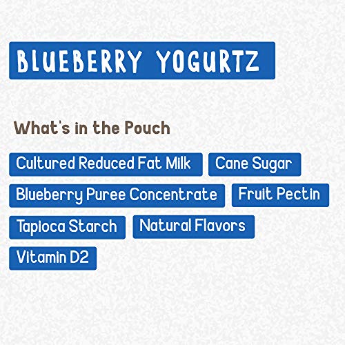 3 GoGo+Blueberry+Portable+BPA+Free+Gluten+Free