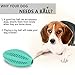 Non-Toxic Dog's Chew Toy Balls [Bite Resistant] Dog Chew and Teeth Cleaning Balls With Teeth Design for Cleaning (1 mint toy)