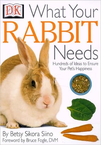 rabbit needs