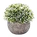 HC STAR Artificial Plant Potted Mini Fake Plant Decorative Lifelike Flower Green Plants