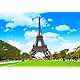 Baocicco 6x6ft Paris Panorama Eiffel Tower Garden Backdrop Vinyl Photography Background High Platform Sunset Glow Landscape Flower Bouquet Old Lantern Curtains Wedding Holiday Children Adult Portraits