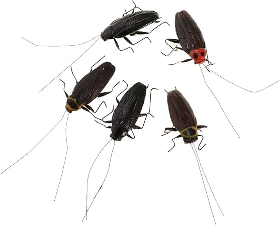 Amazon 昆虫の置物 昆虫の像 生き生き 5個 子供 認知玩具 全１０種 人気 贈り物 ゴキブリ おもちゃ雑貨 おもちゃ