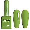 CANNI Green Gel Nail Polish, 1Pcs Pastel Lime Sage Light Green Gel Polish Bringt Mint Green Color Nail Polish Gel High Gloss Soak Off U V Gel Nail French Nail Manicure Salon DIY