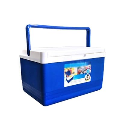 Be82aene - Nevera de 5 l para el aire libre, con aislamiento, para ...