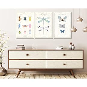 A Myriad of Garden Friends - Canvas Art