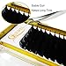 QUEWEL Volume Eyelash Extensions | 0.03-0.12mm | C/CC/D/DD Curl | 8-25mm Length | Easy Fan Volume Lashes 2D-20D Self Fanning Volume Lashes 0.05D 14mm Long Lasting Blooming Lashes(0.05D 14)