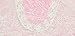 Newborn Infant Baby Photography Lace Romper Jumpsuit Princess Clothes By Luca (White)
