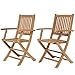 Amazonia London 2-Piece Certified Teak Patio Folding Armchair