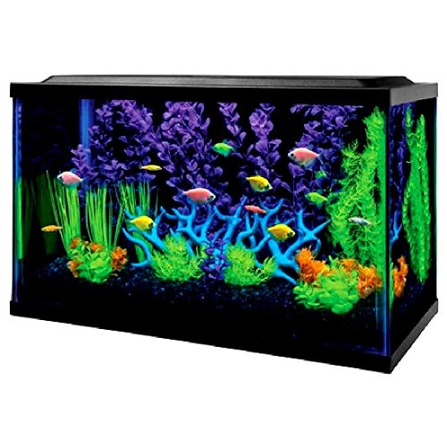Fish Aquarium Kit 10 Gallon Kit with Filter Conditioner and Fish Food Creates A Visually Stunning Experience – Skroutz Deals
